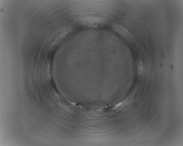 X0000070411060200606231822