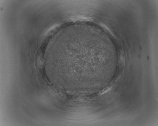 X0000070411063200606231822