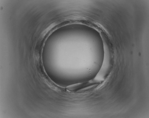 X0000070411065200606231822