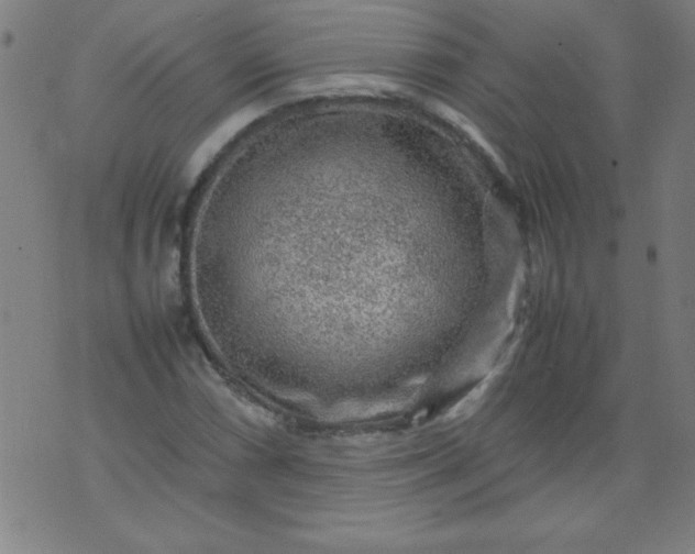 X0000070411066200606231822