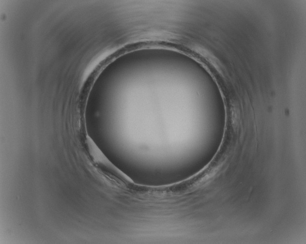 X0000070411069200606231822