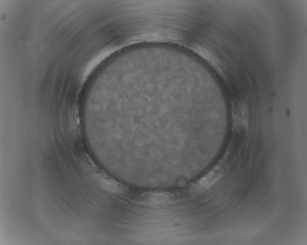 X0000070411070200606231822