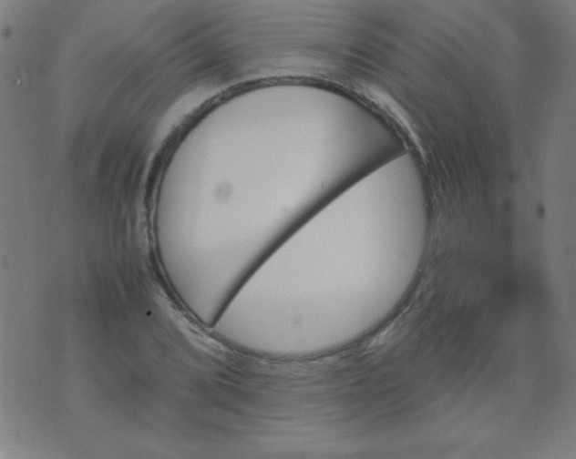 X0000070411072200606231822