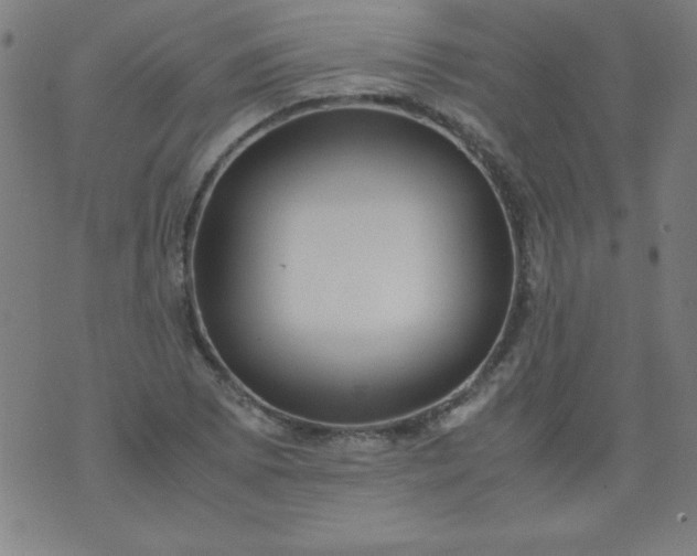 X0000070411073200606231822