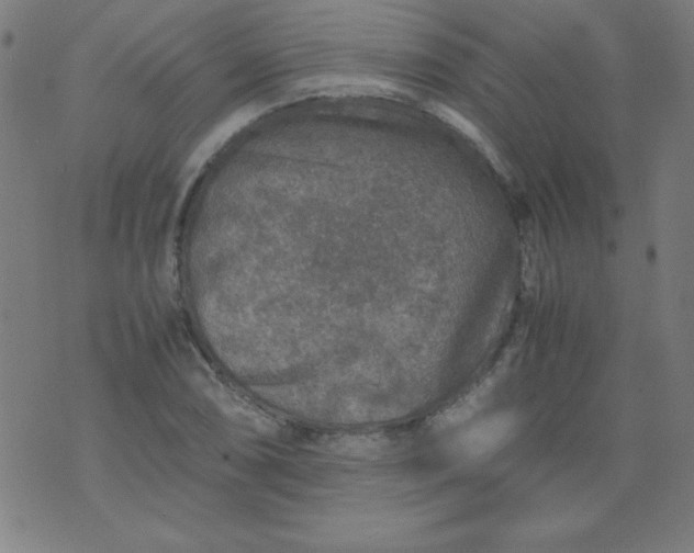 X0000070411074200606231822