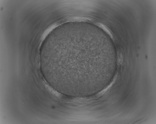 X0000070411075200606231822