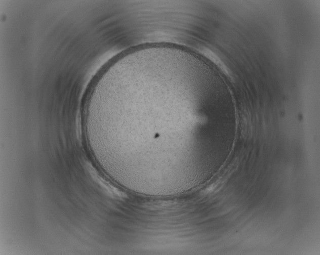 X0000070411076200606231822