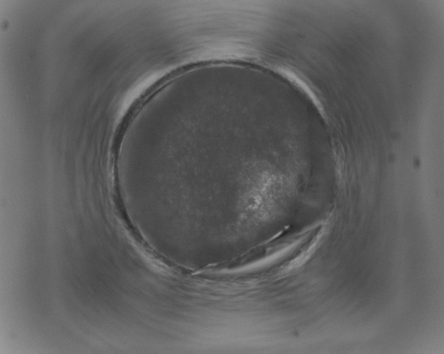 X0000070411077200606231822