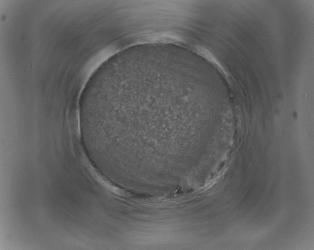 X0000070411079200606231822