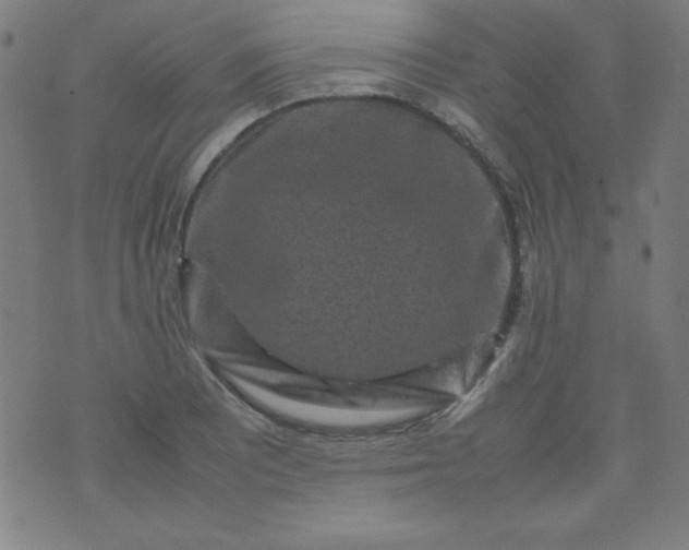 X0000070411081200606231822