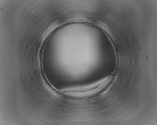 X0000070411082200606231822