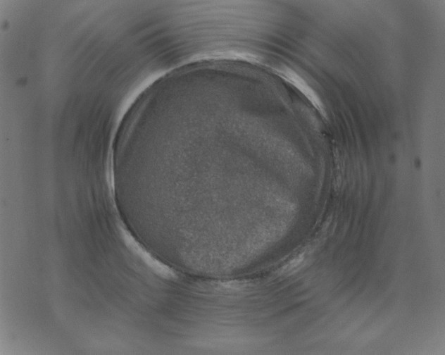 X0000070411084200606231822