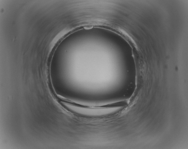 X0000070411085200606231822