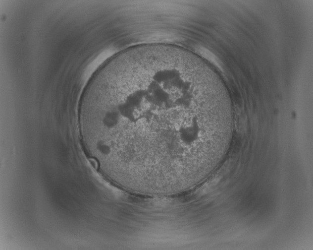 X0000070411087200606231822