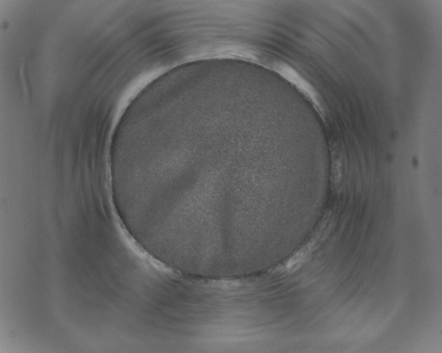 X0000070411088200606231822