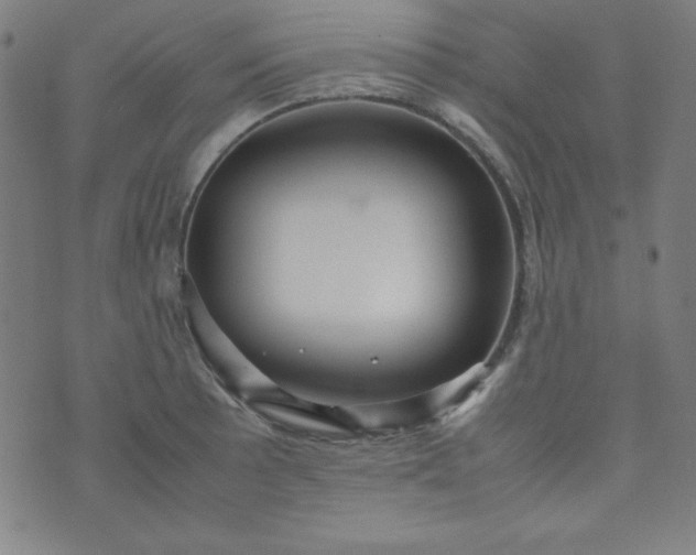 X0000070411089200606231822