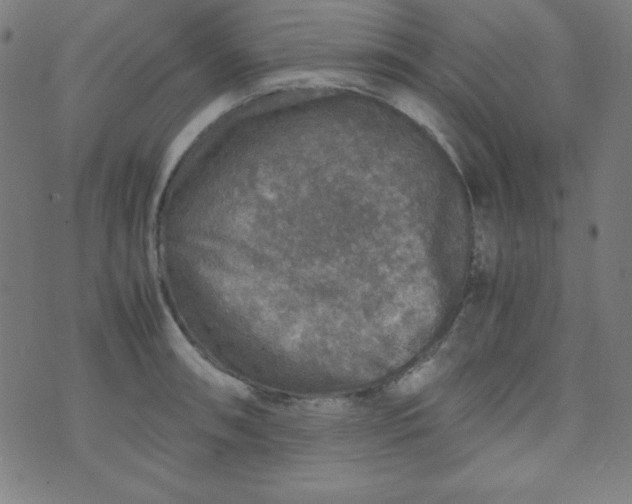 X0000070411090200606231822