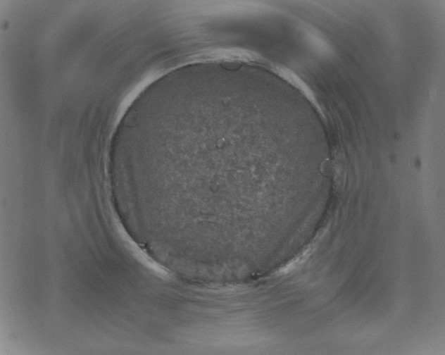 X0000070411091200606231822