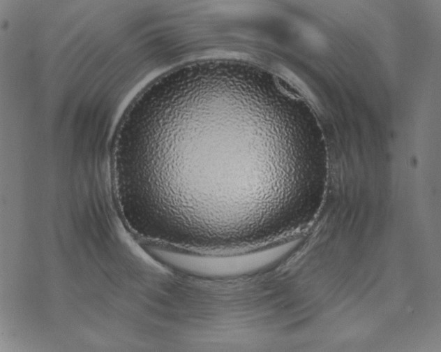 X0000070411092200606231822