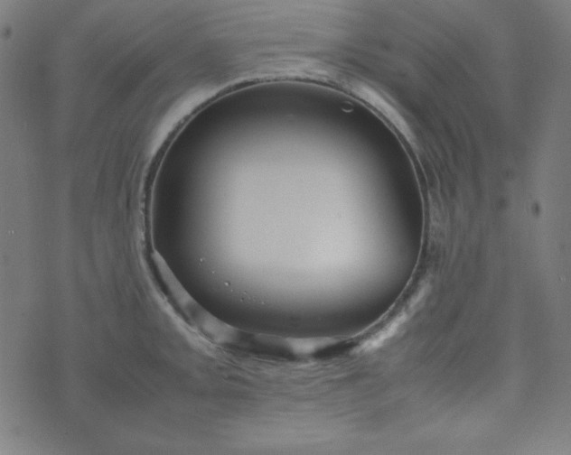 X0000070411093200606231822