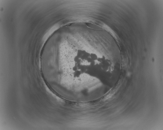 X0000070411095200606231822