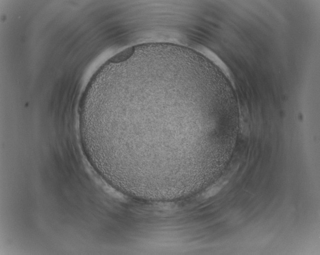 X0000070411096200606231822