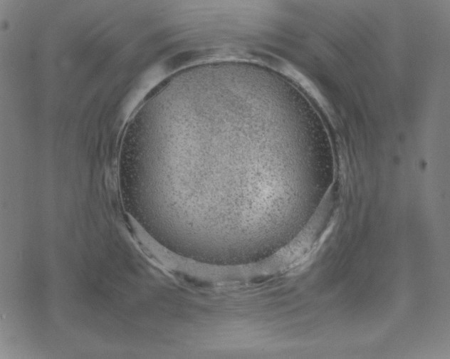 X0000070411097200606231822