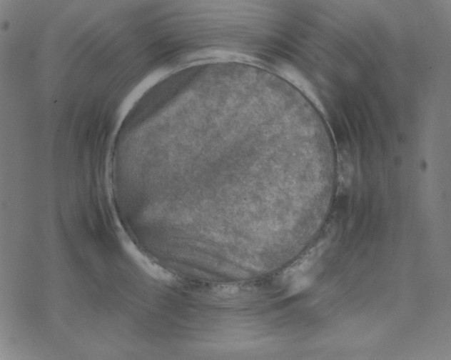 X0000070411098200606231822