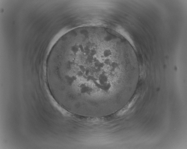 X0000070411099200606231822