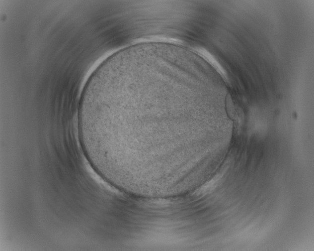 X0000070411100200606231822