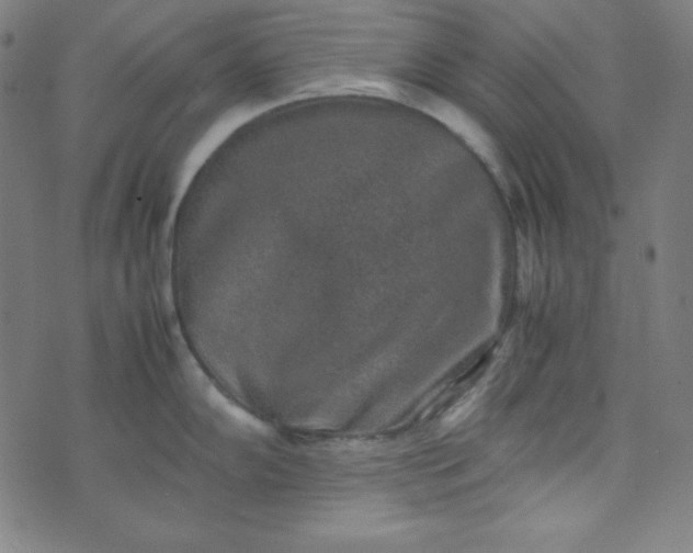 X0000070411102200606231822