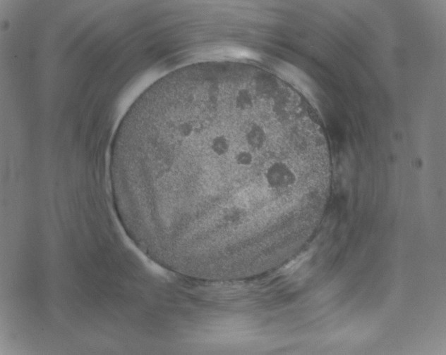 X0000070411103200606231822