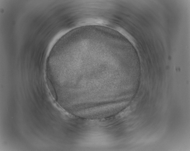 X0000070411104200606231822