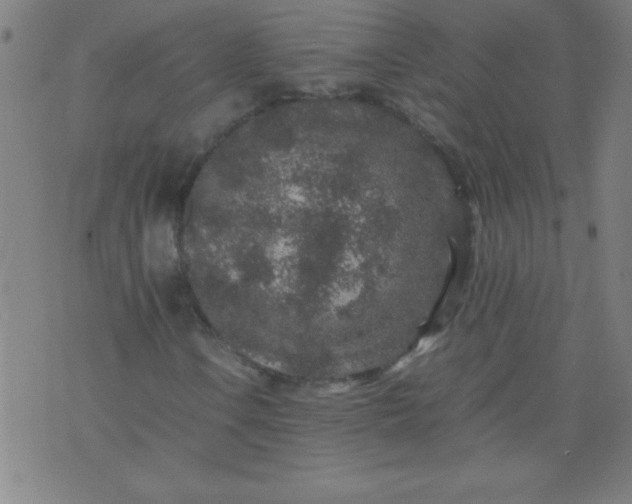 X0000070411106200606231821