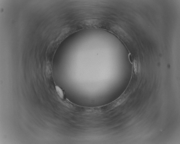 X0000070411107200606231821