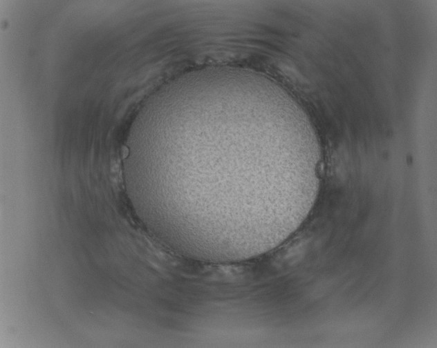 X0000070411109200606231821