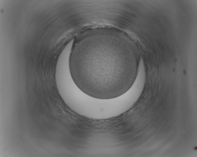 X0000070411110200606231821