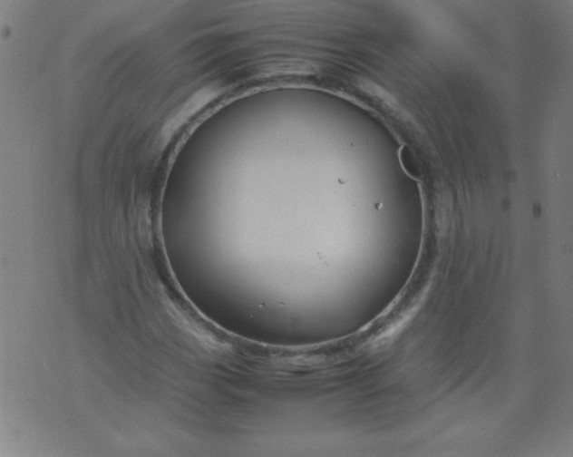 X0000070411113200606231821