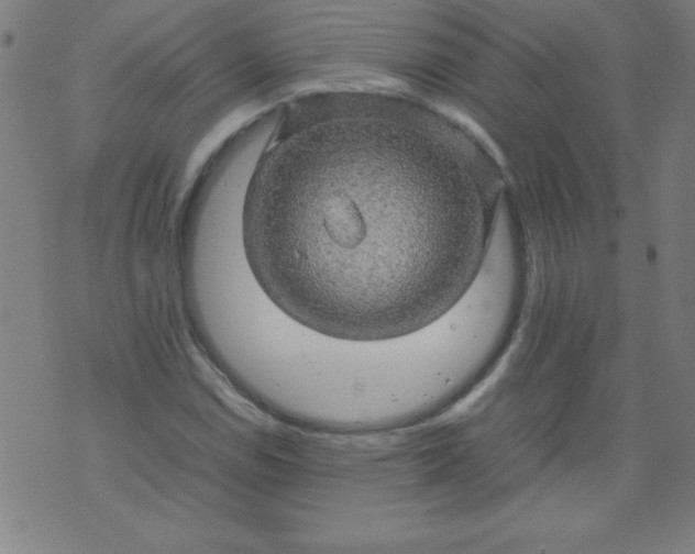 X0000070411114200606231821