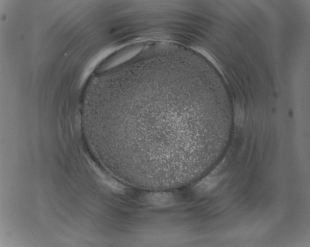 X0000070411115200606231821