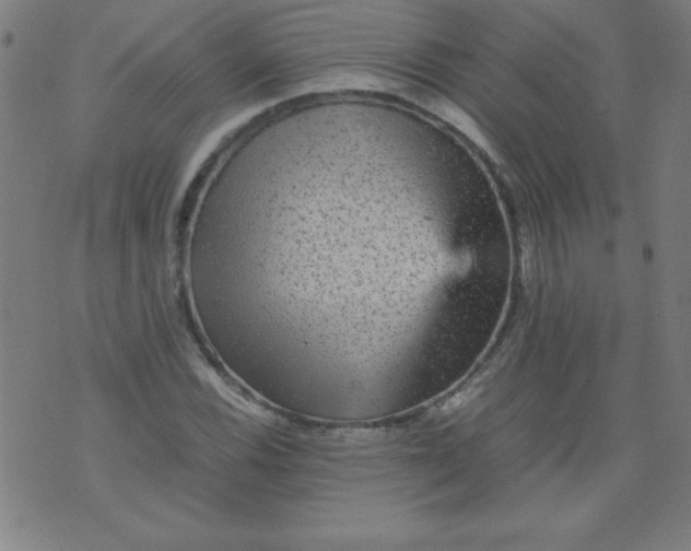 X0000070411116200606231821