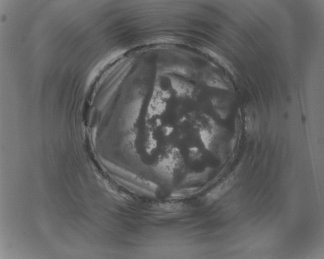 X0000070411117200606231821