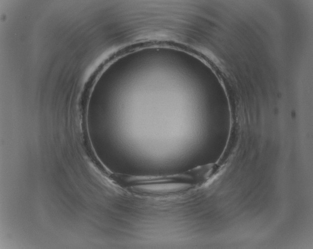 X0000070411118200606231821