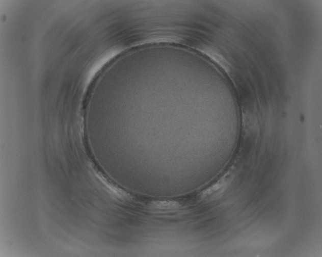 X0000070411119200606231821