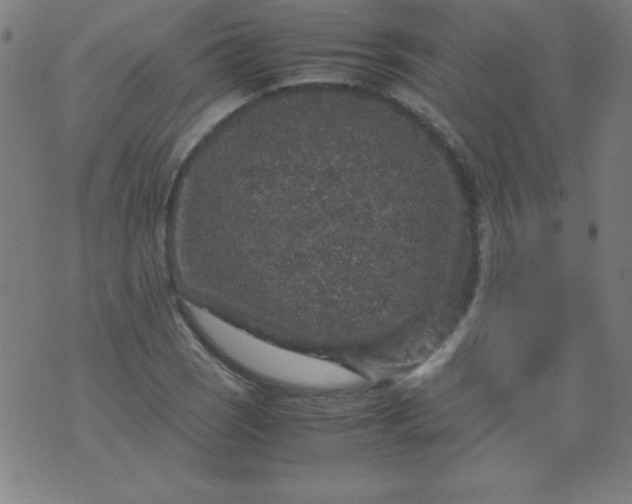 X0000070411121200606231821