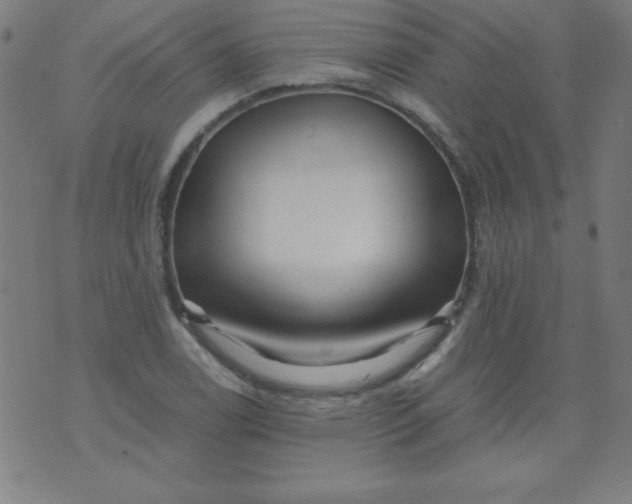 X0000070411122200606231821