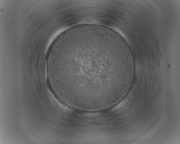 X0000070411123200606231821