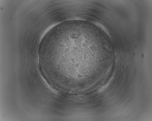 X0000070411125200606231821