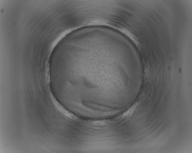 X0000070411126200606231821