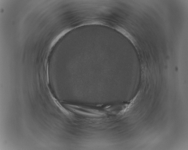 X0000070411127200606231821